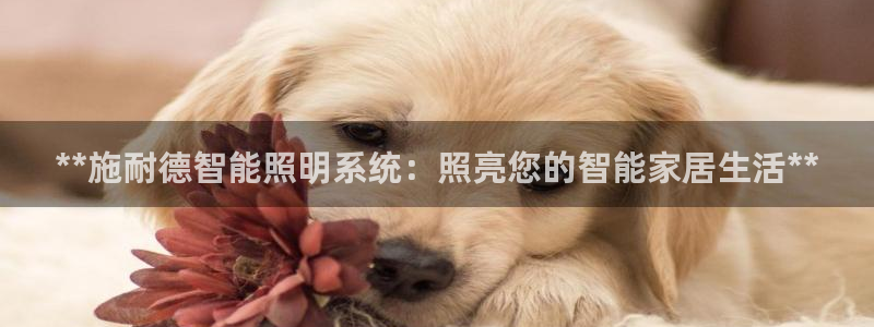 云顶国际集团