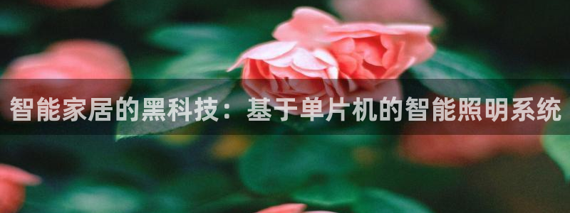 云顶国际版怎么下载