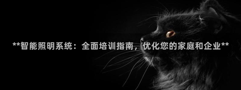 云顶集团3118app功能