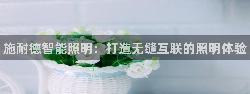 2418云顶