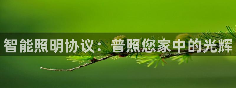 云顶集团游戏入口