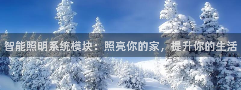 云顶集团高管