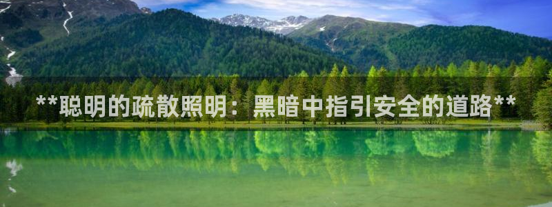云顶集团林志华简介