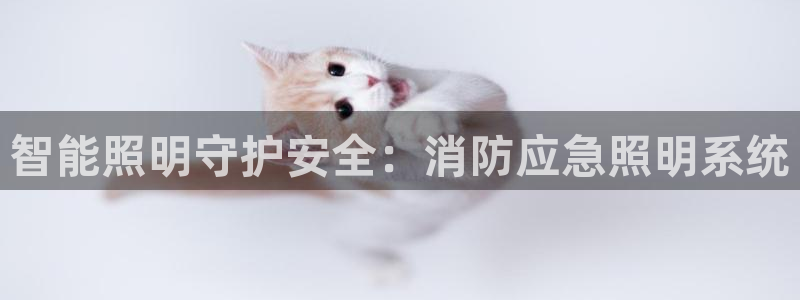 云顶国际服怎么换服务器