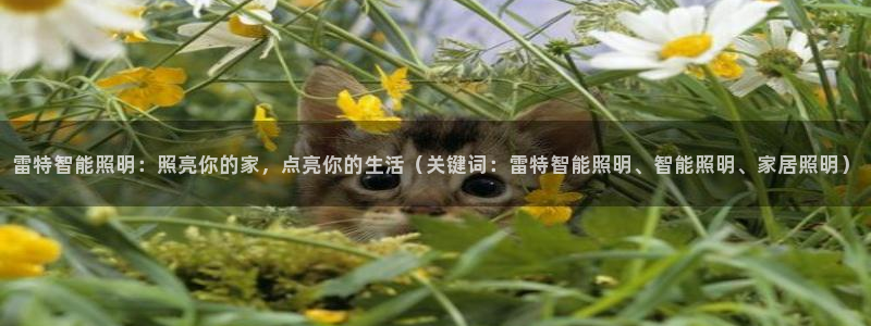 云顶国际高中学费多少