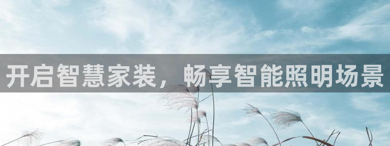 云顶集团中国区
