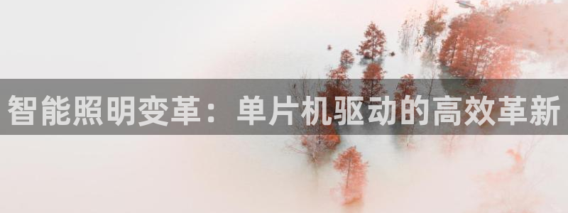 云顶集团中国分公司