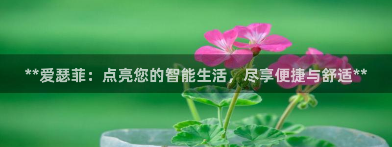 云顶国际服怎么玩