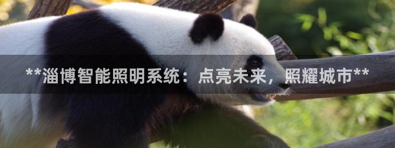 云顶国际酒店几星级的