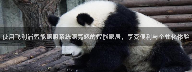 云顶国际官网下载安装