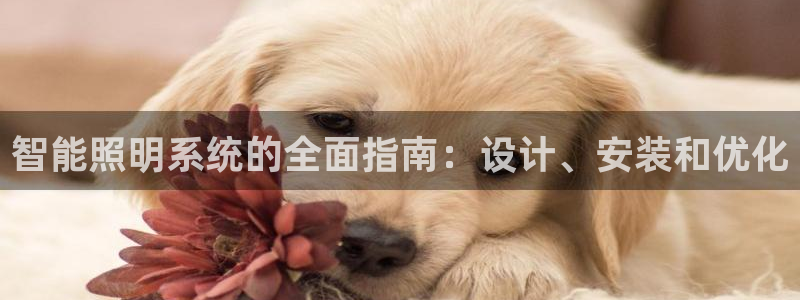 2322云顶
