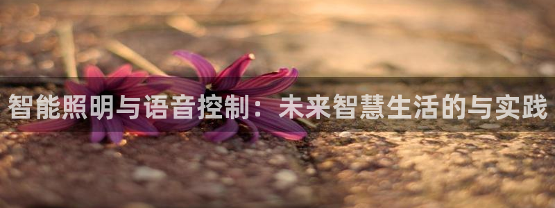 云顶国际网站打不开
