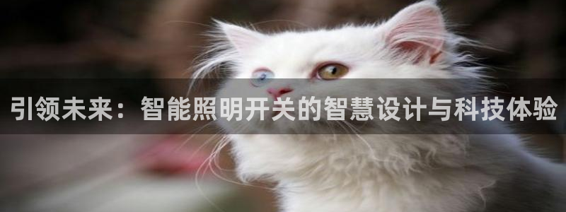 云顶集团rt电子游戏