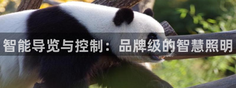 云顶国际服更新s9