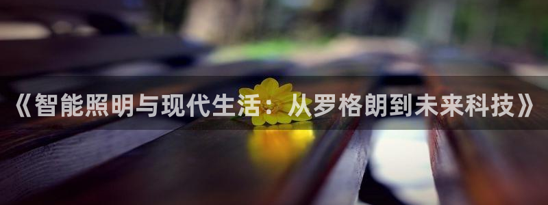 云顶国际软装公司怎么样啊