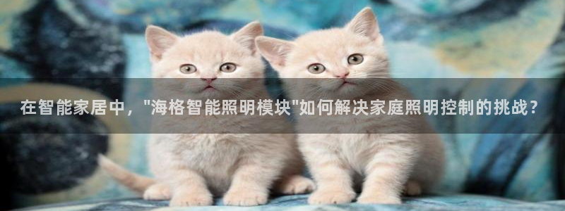云顶国际广场物业电话
