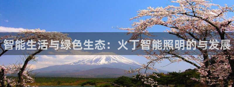 云顶国际旅行社