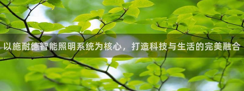 云顶国际集团官网首页入口