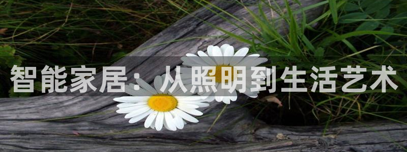 云顶国际大酒店停车场收费