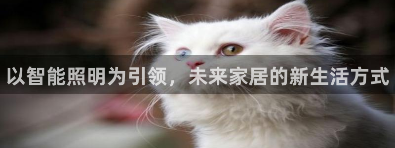 云顶集团3118acm