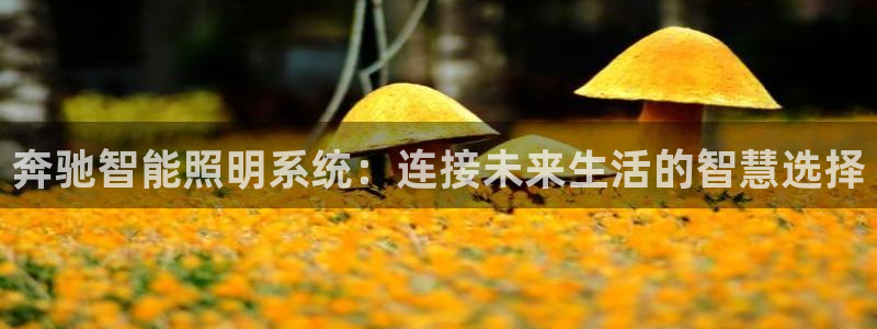 云顶国际是正规游戏吗