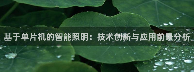云顶国际软装公司怎么样