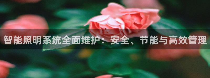 云顶国际在哪里