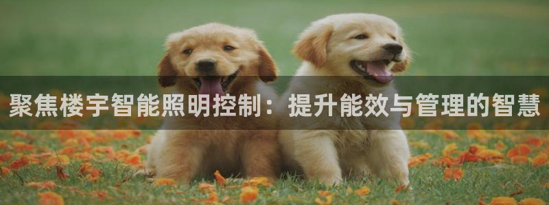 2418云顶