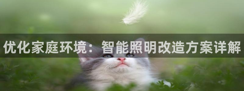 云顶官网唯一官方网站