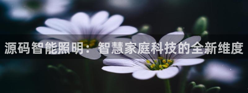 云顶国际游戏官方网站