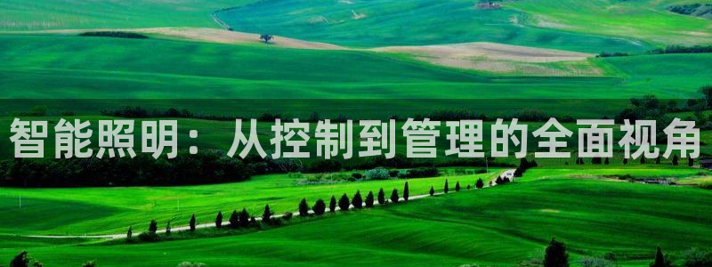 云顶网站是多少