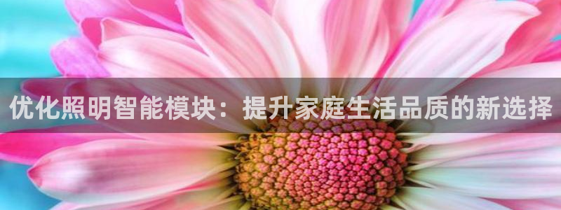 云顶集团下载