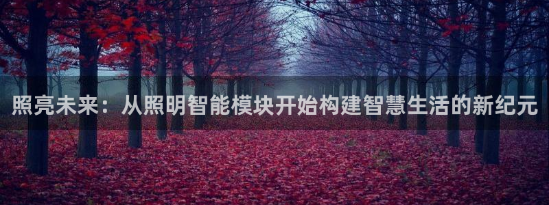 云顶国际服叫什么