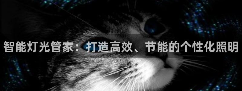 云顶国际要怎么注册：智能灯光管家：打造高