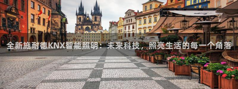 云顶国际app是什么游戏